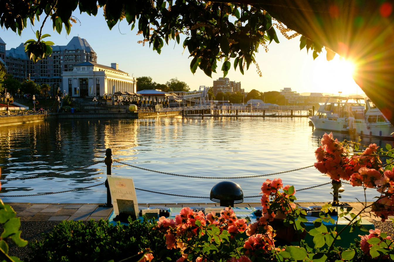 Victoria BC harbour at sunset